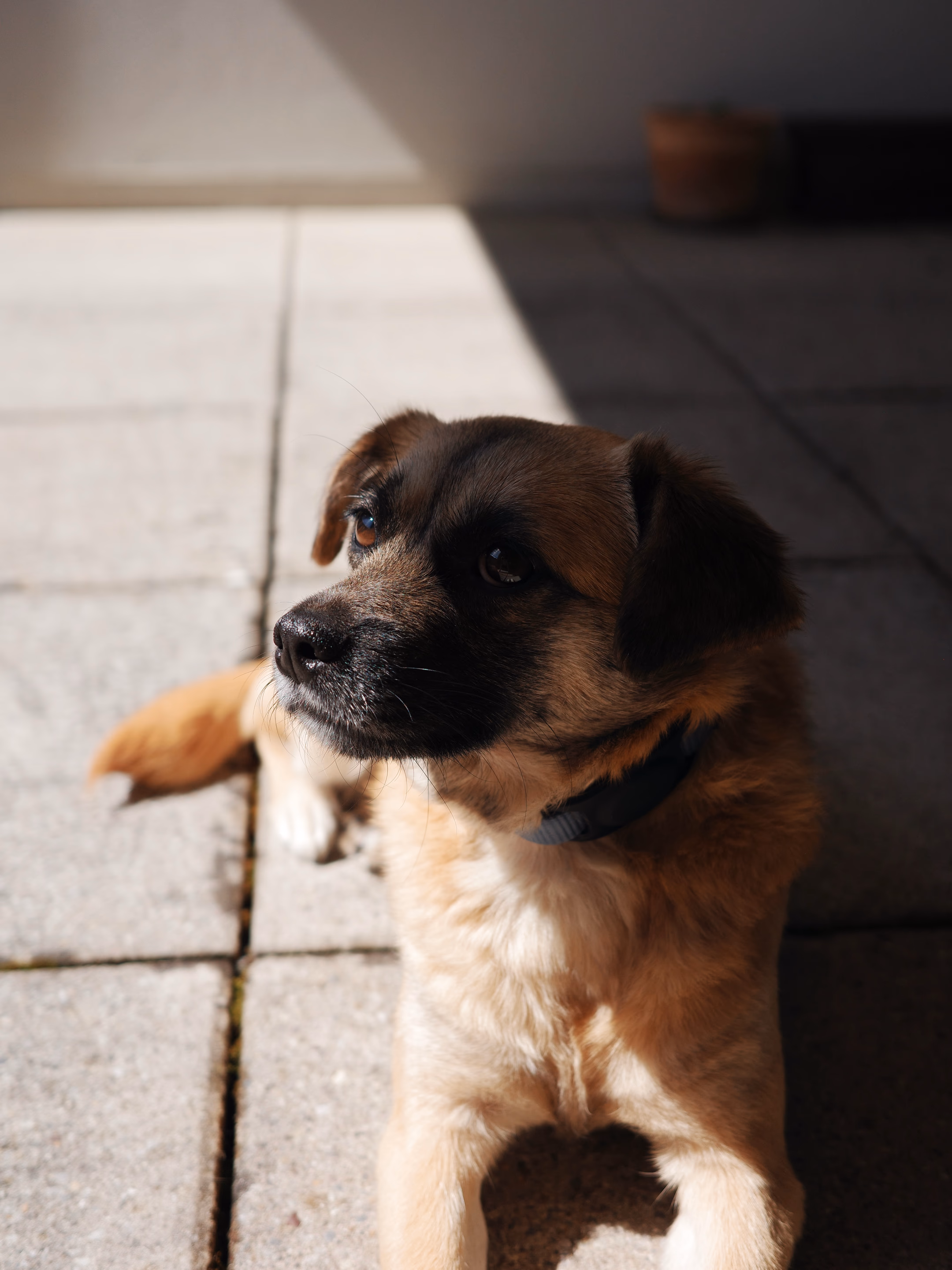 Naida lying in the sun